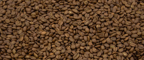 Dominikanische Republik * Kaffee * 250g * Müller Kaffeerösterei