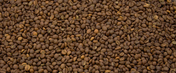 Indien Cherry * Rosbusta Kaffee * 250g * Müller Kaffeerösterei